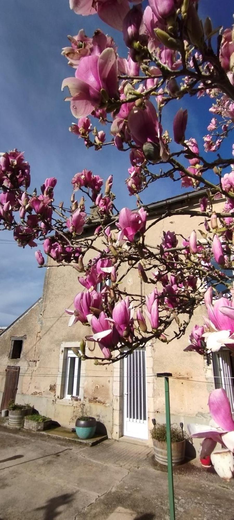 Gite L'Esprit Nature Naucelle Exterior foto